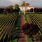 CHATEAU EYQUEM - BOURG EN GIRONDE