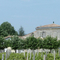 CHATEAU LA CROIX DAVIDS - BOURG EN GIRONDE