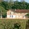 CHATEAU DE CROUTE - BOURG EN GIRONDE