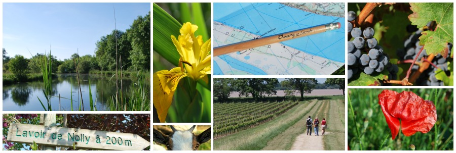 RANDONNÉE PÉDESTRE  - BOURG EN GIRONDE